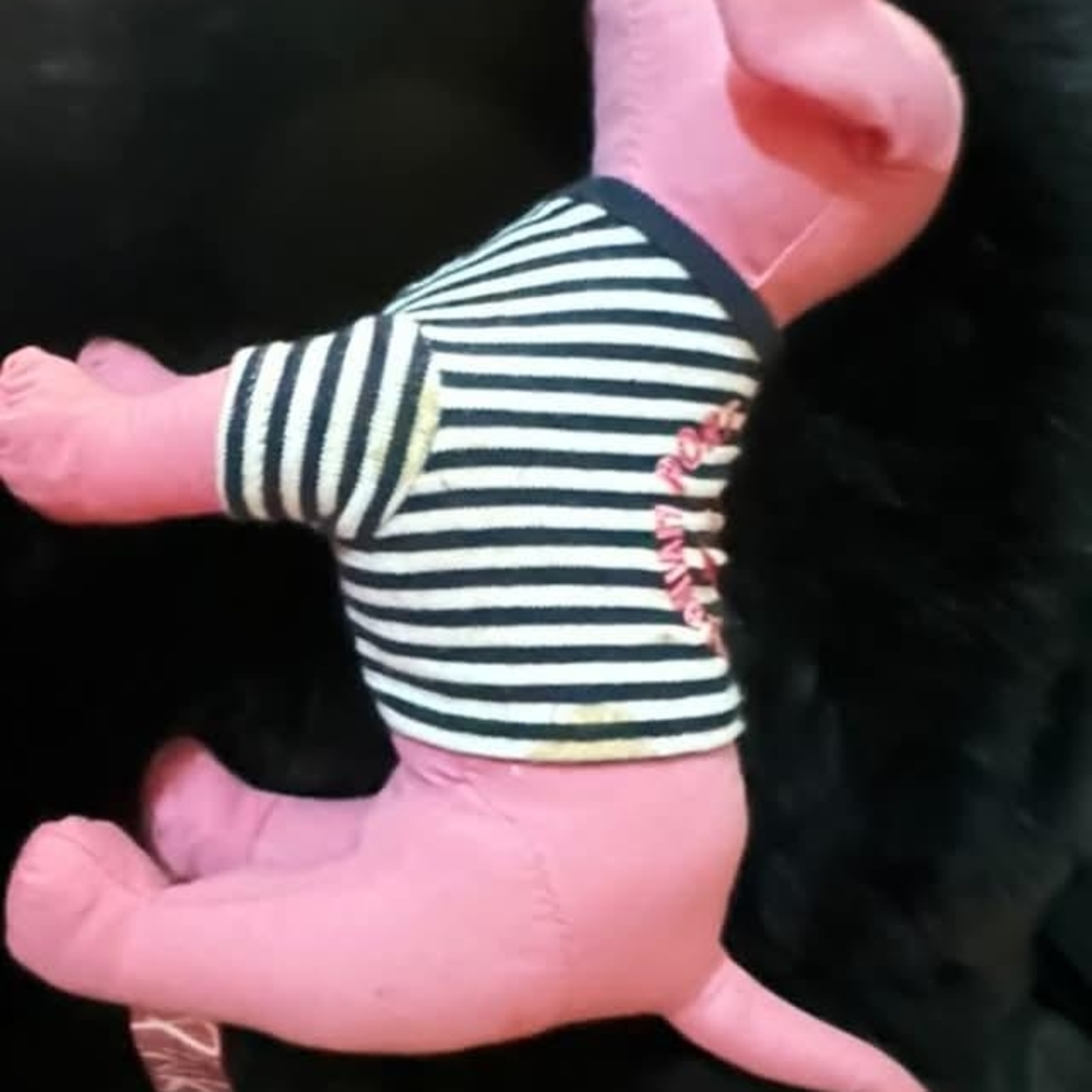 Pink Plush Dog Toy with Striped Shirt